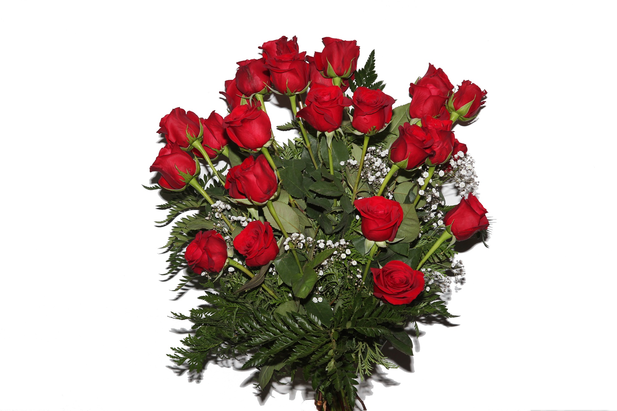 Ramo-24-rosas-rojas.jpg Ramo de 24 rosas rojas - Imagen 1