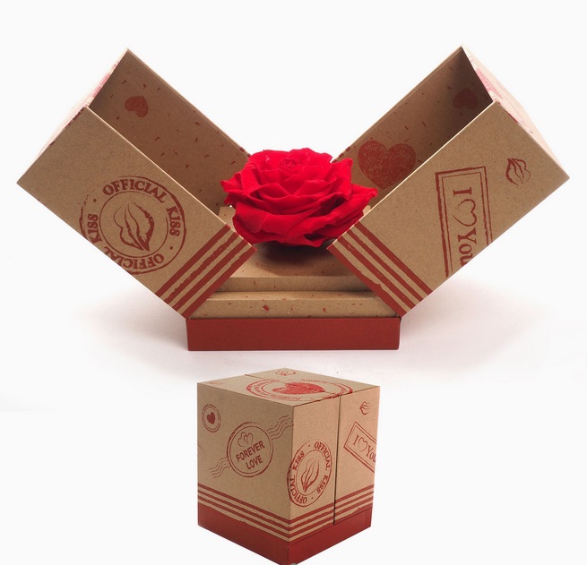 caja-rosa-roja-xl-cuadrada.jpg Rosa preservada roja XL - Imagen 1