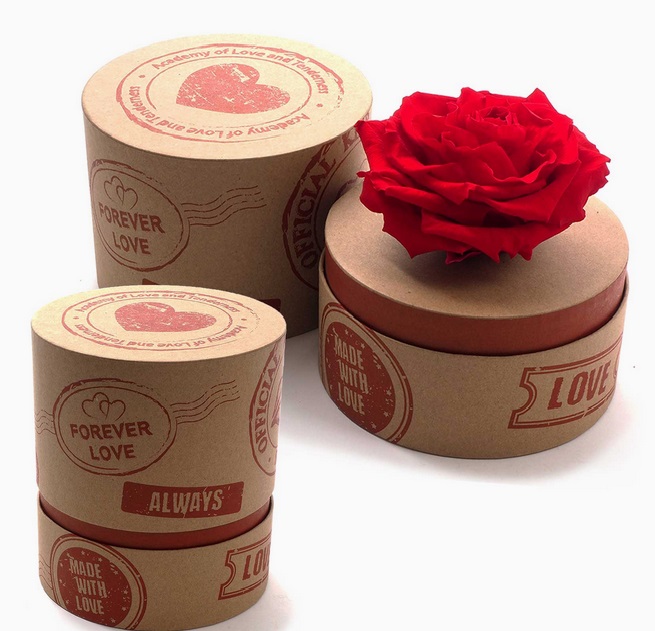 caja-rosa-roja-xl-redonda.jpg Rosa preservada roja XL - Imagen 1