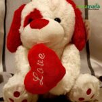 Peluche perrito Luis corazón