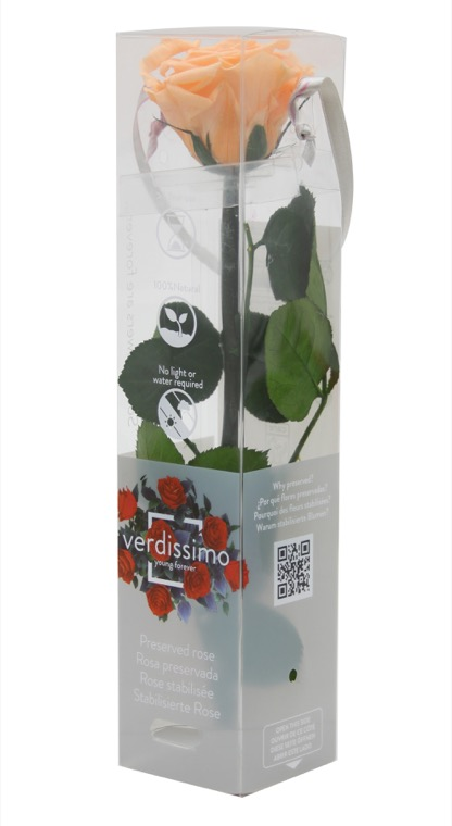 rosa-preservada-peach-27-cm.png Rosa preservada melocotón - Imagen 1