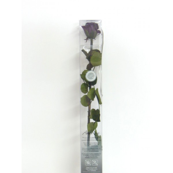 rosa-preservada-purpura-55-cm.png Rosa preservada púrpura - Imagen 1