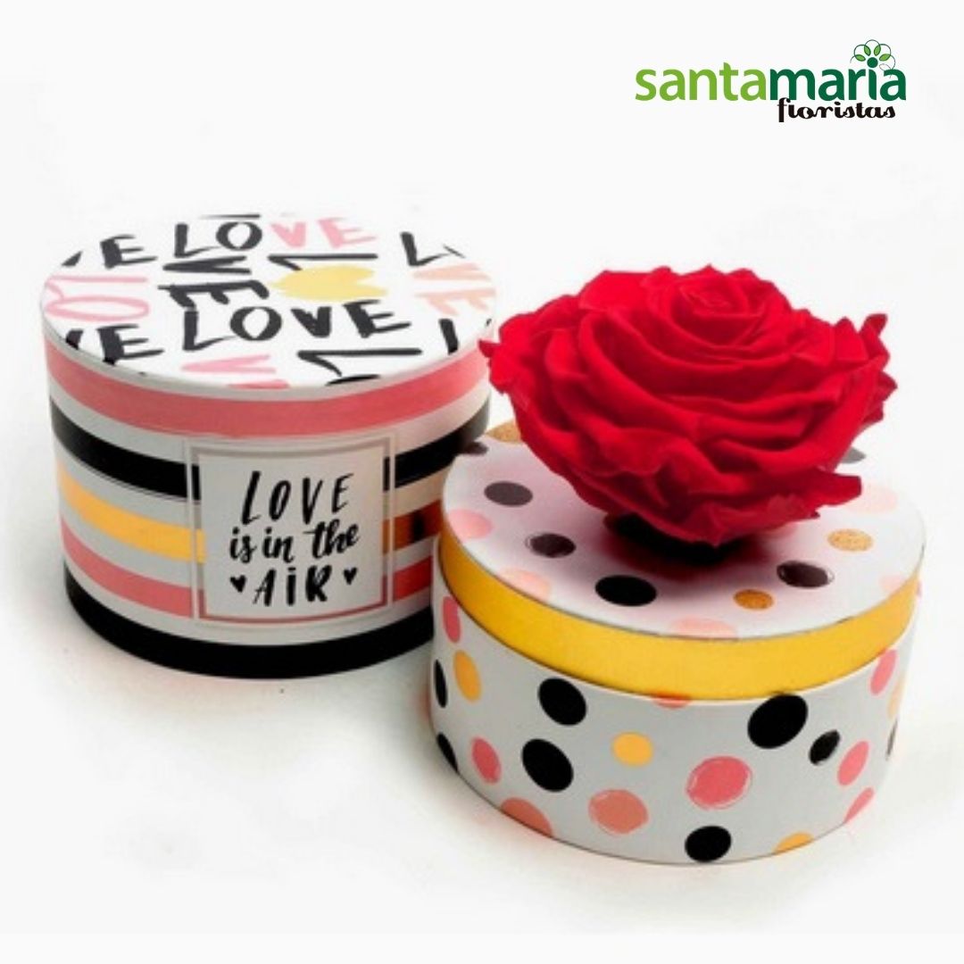 rosa-preservada-roja-love-is-in-the-air.jpg Rosa preservada roja, love is in the air - Imagen 1